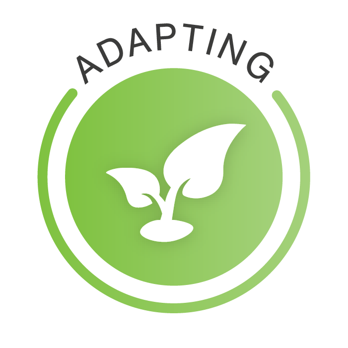 Adapting